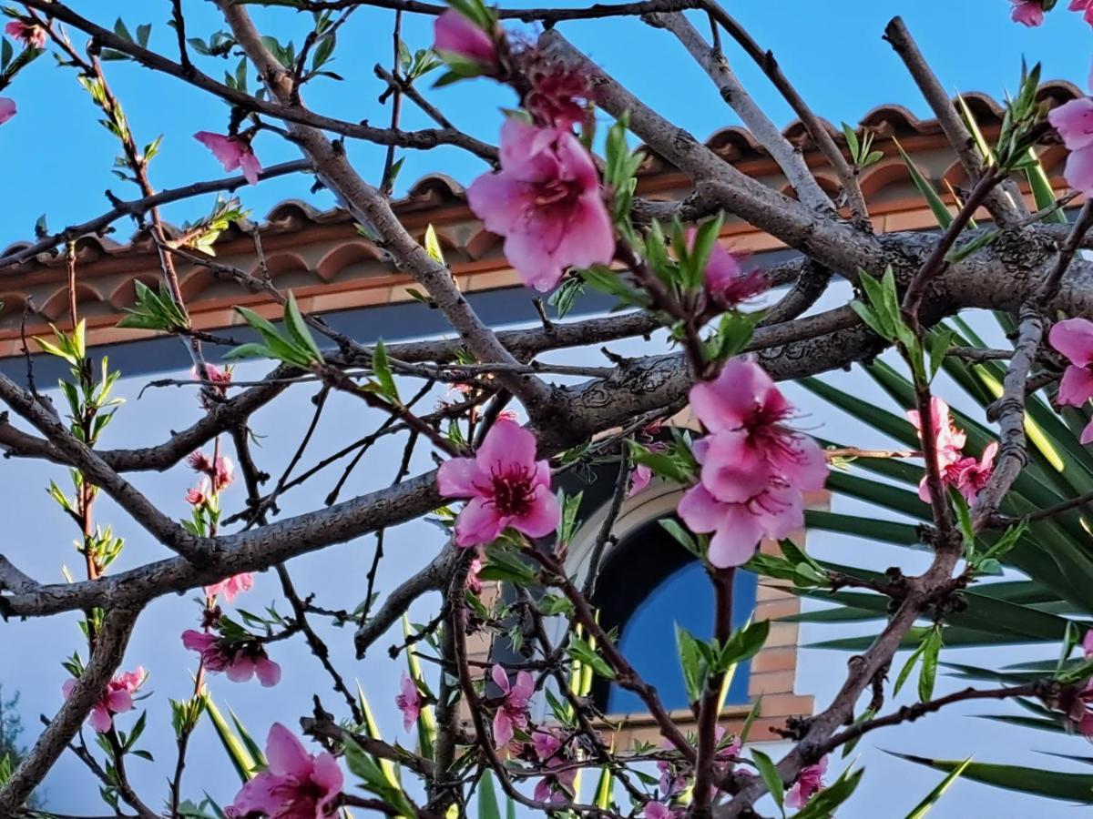 Maison Les Agapanthes Villeneuve-lès-Béziers Esterno foto